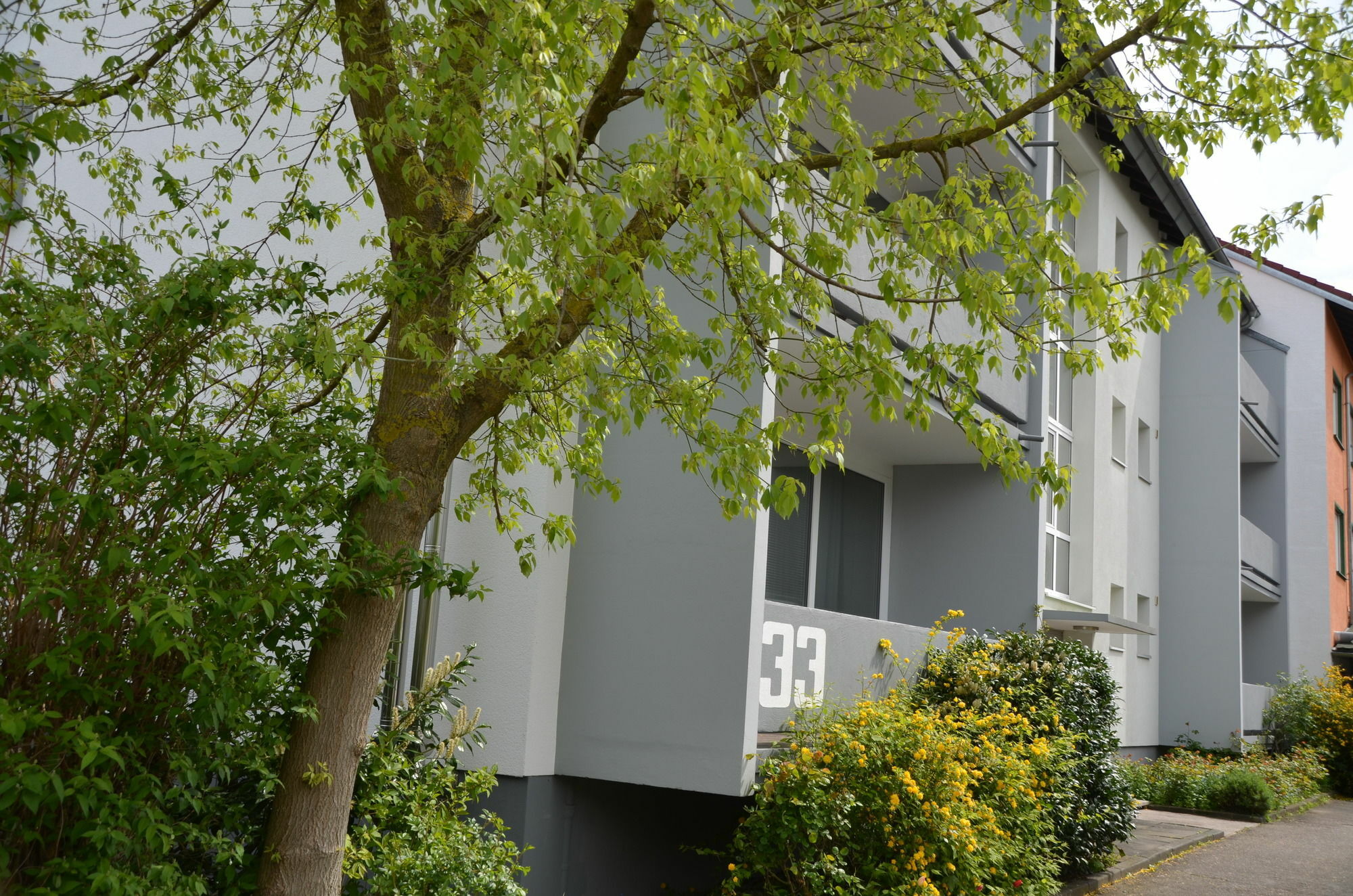 Neu Heidelberg - Guesthouse & Apartments Exterior foto